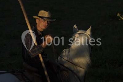 Location salle Aigues-Mortes (Gard) - Mas De La Comtesse #10