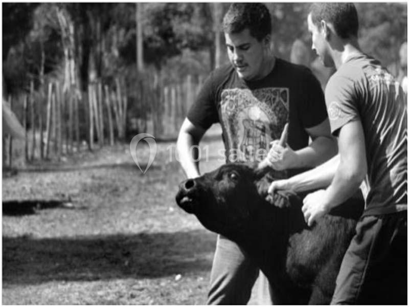 Location salle Aigues-Mortes (Gard) - Mas De La Comtesse #10