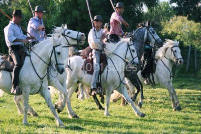 Location salle Aigues-Mortes (Gard) - Mas De La Comtesse #10
