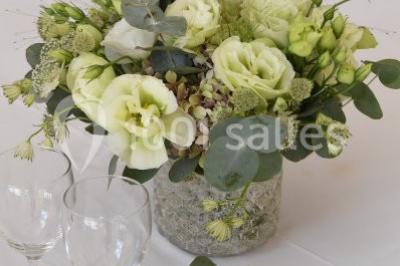 Location salle Teyssode (Tarn) - Domaine Du Château De Guitalens #19