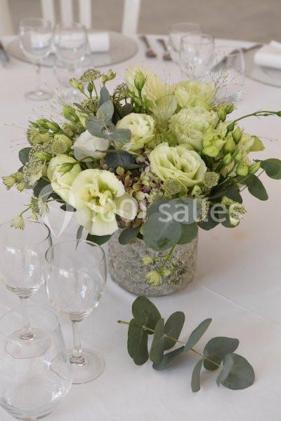 Location salle Teyssode (Tarn) - Domaine Du Château De Guitalens #10