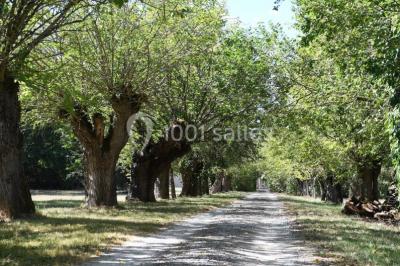 Location salle Teyssode (Tarn) - Domaine Du Château De Guitalens #19