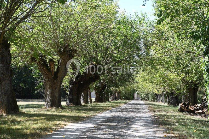 Location salle Teyssode (Tarn) - Domaine Du Château De Guitalens #16