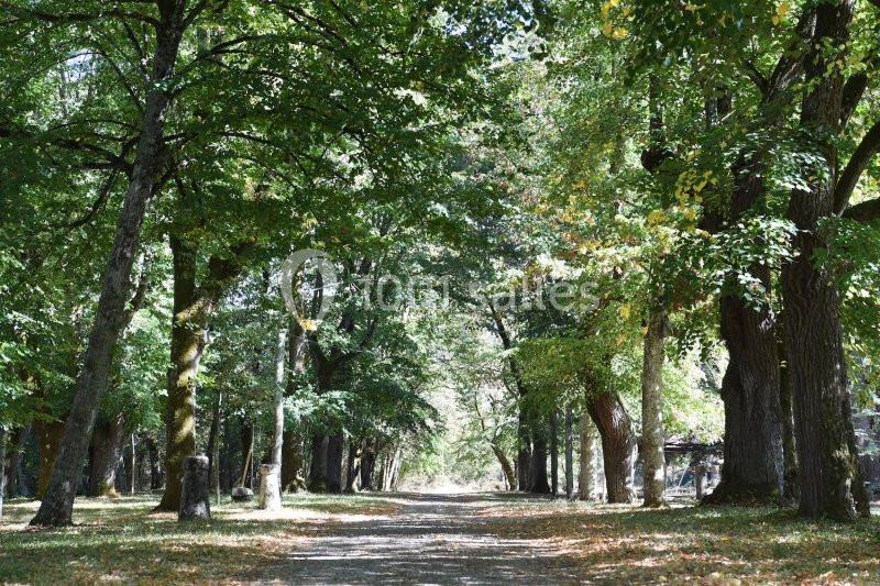 Location salle Teyssode (Tarn) - Domaine Du Château De Guitalens #17