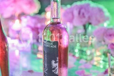 Location salle Peypin (Bouches-du-Rhône) - Château de la Roque Forcade #20