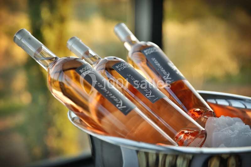 Location salle Peypin (Bouches-du-Rhône) - Château de la Roque Forcade #8