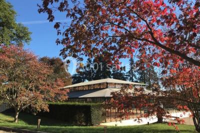 Peinture de mains et flèche blanche sur un tronc d'arbre dans un parc enneigé, avec des arbres en arrière-plan.