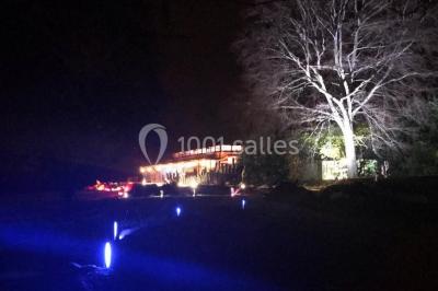 Peinture de mains et flèche blanche sur un tronc d'arbre dans un parc enneigé, avec des arbres en arrière-plan.