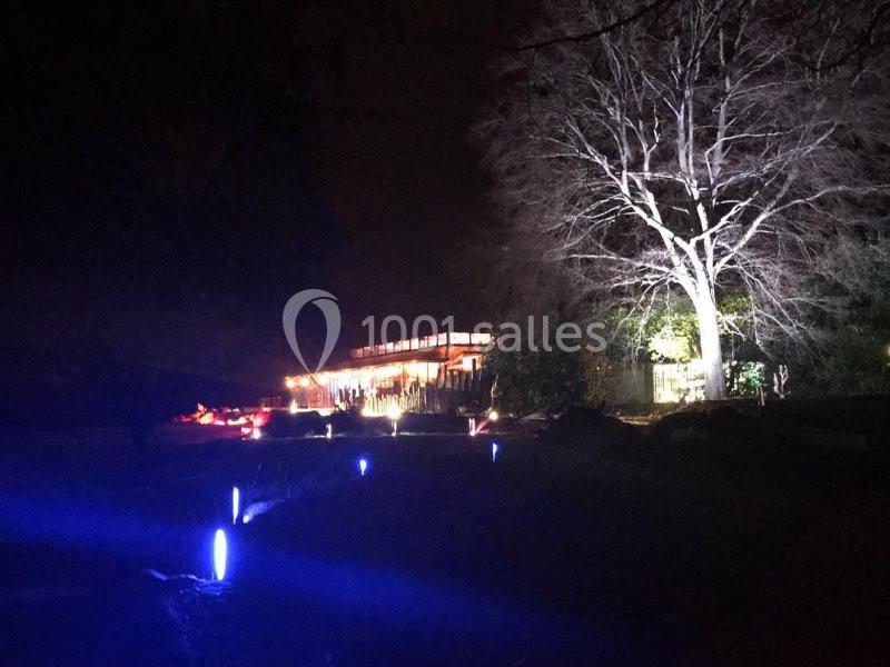 Bâtiment éclairé de nuit avec un arbre illuminé à droite et des lumières bleues au sol au premier plan.