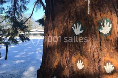 Peinture de mains et flèche blanche sur un tronc d'arbre dans un parc enneigé, avec des arbres en arrière-plan.