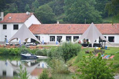 Quatre femmes pratiquant le yoga en posture de l'arbre sur des tapis colorés dans un espace extérieur herbeux.
