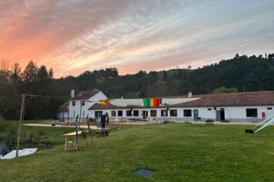 Quatre femmes pratiquant le yoga en posture de l'arbre sur des tapis colorés dans un espace extérieur herbeux.