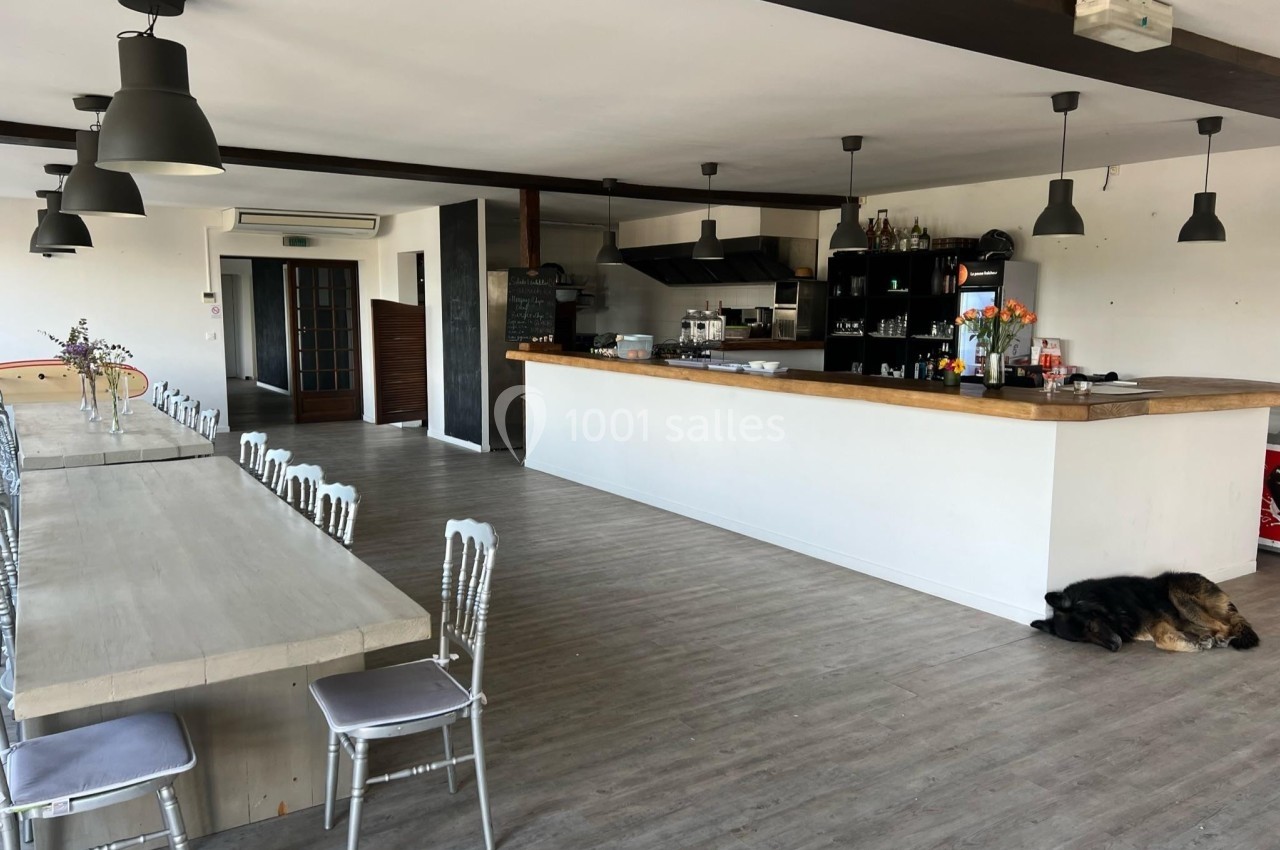 Salle lumineuse avec un long comptoir, des tables en bois, des chaises argentées et un chien couché près du bar.