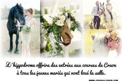 Location salle Craon (Mayenne) - Pavillon Jean Louis Cousin #14