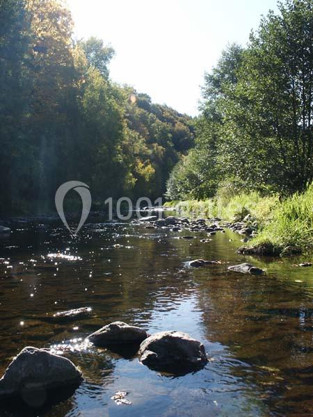Location salle Saint-Flour (Cantal) - Le Bout Du Monde #17