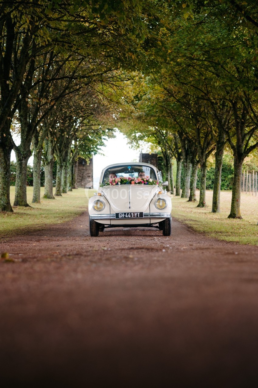 Voiture ancienne décorée de fleurs sur une allée bordée d'arbres, dans un cadre naturel.