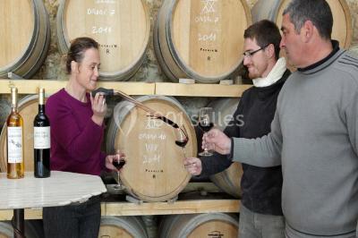 Bouteilles de vin blanc ’Hauts de L'Évêque 2018’ exposées sur un présentoir en bois dans une cave à vin.