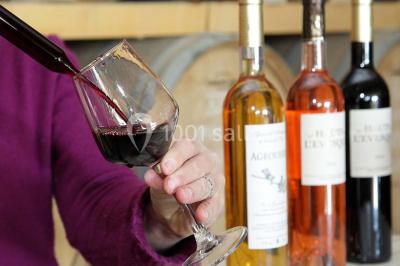 Bouteilles de vin blanc ’Hauts de L'Évêque 2018’ exposées sur un présentoir en bois dans une cave à vin.