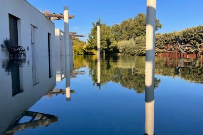 Bouteilles de vin blanc ’Hauts de L'Évêque 2018’ exposées sur un présentoir en bois dans une cave à vin.
