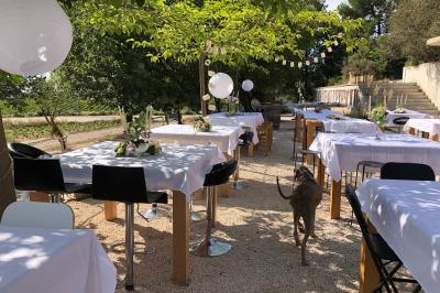 Bouteilles de vin blanc ’Hauts de L'Évêque 2018’ exposées sur un présentoir en bois dans une cave à vin.