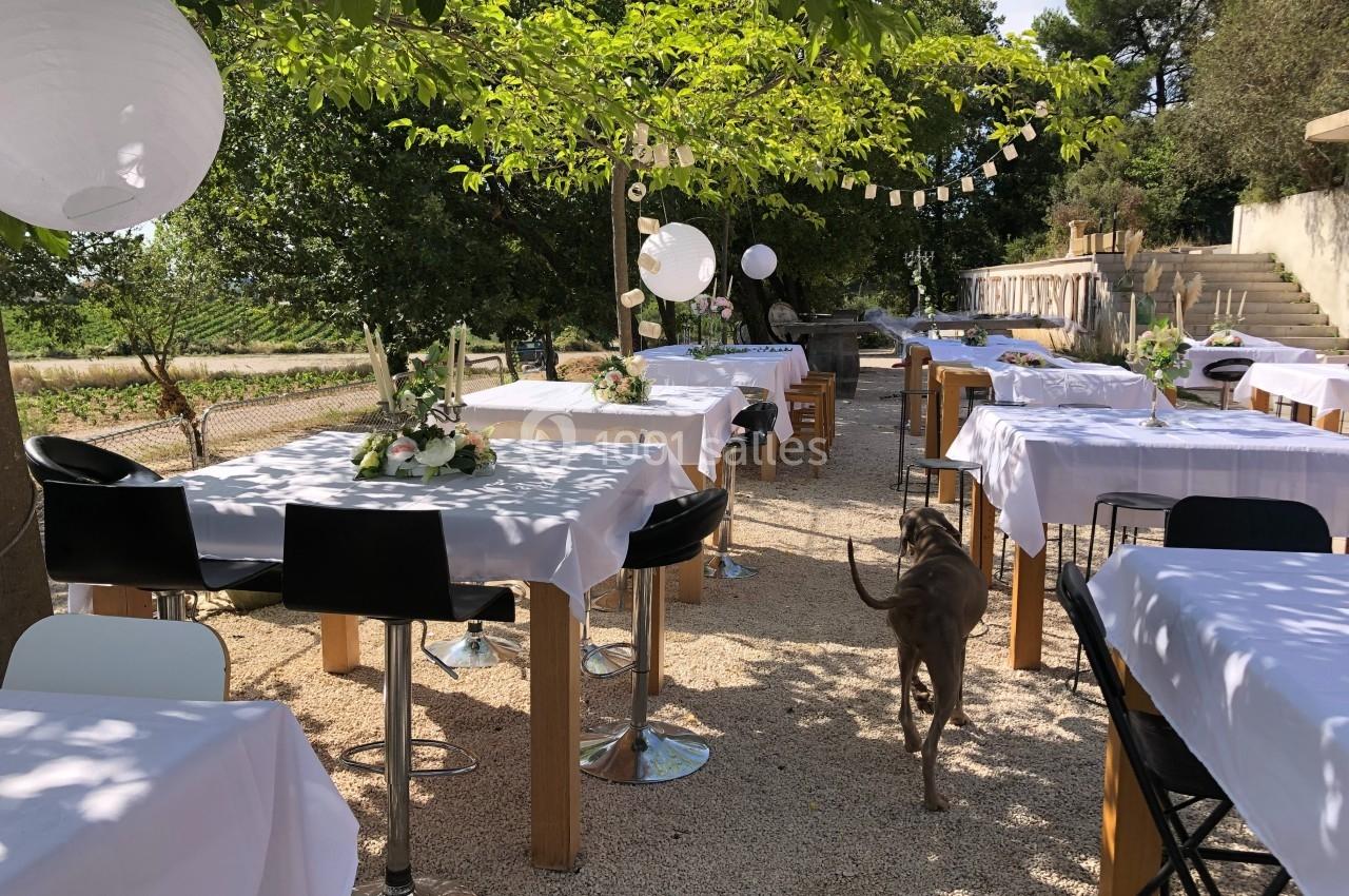 Tables décorées pour un événement en extérieur sous des arbres, avec lanternes suspendues et un chien marchant au premier…