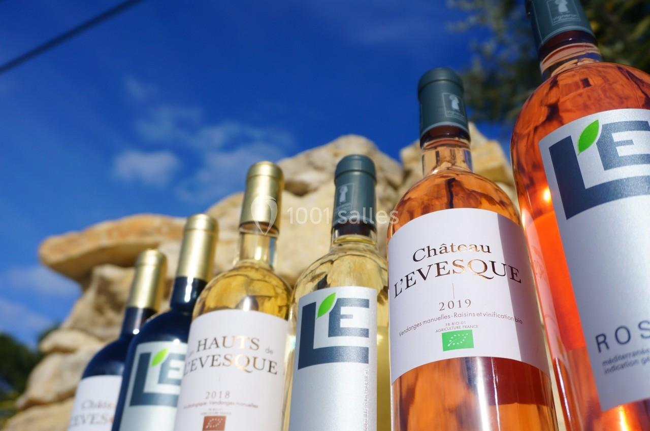Bouteilles de vin blanc, rouge et rosé alignées devant un ciel bleu et un décor de pierres.