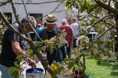 Bouteilles de vin blanc ’Hauts de L'Évêque 2018’ exposées sur un présentoir en bois dans une cave à vin.
