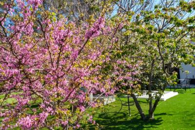 Bouteilles de vin blanc ’Hauts de L'Évêque 2018’ exposées sur un présentoir en bois dans une cave à vin.