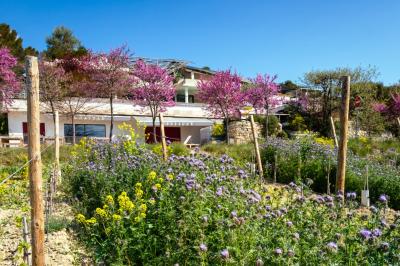 Bouteilles de vin blanc ’Hauts de L'Évêque 2018’ exposées sur un présentoir en bois dans une cave à vin.
