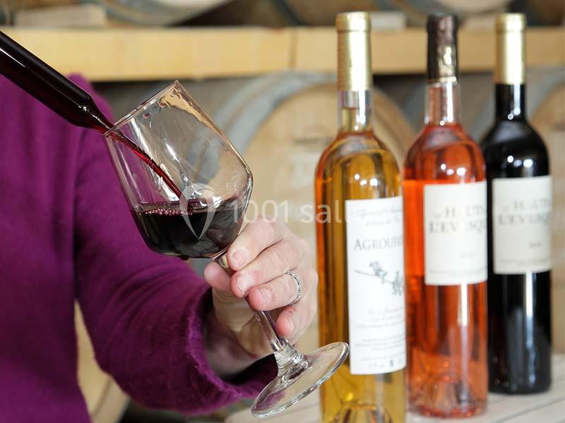 Une main verse du vin rouge dans un verre devant des bouteilles de vin et des tonneaux en arrière-plan.