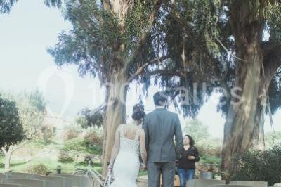 Location salle La Cadière-d'Azur (Var) - Domaines Bunan #17