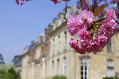 Bâtiment en verre entouré de végétation, avec des arbres et des rochers sous un ciel bleu dégagé.
