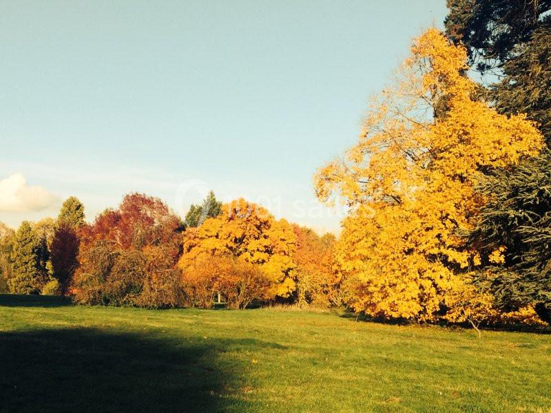 Arbres aux feuillages d'automne colorés dans un parc sous un ciel dégagé.