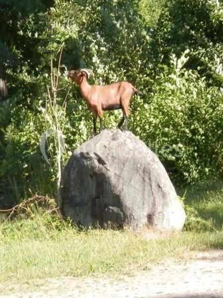 Location salle Ban-sur-Meurthe-Clefcy (Vosges) - Le Haut Grain #3