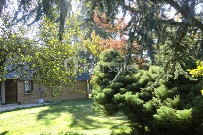 Table élégamment dressée avec nappes blanches, bougies, fleurs, verres et petits pains alignés.
