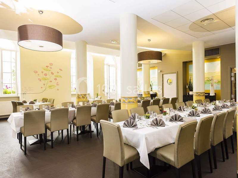 Location salle Saint-Hippolyte (Haut-Rhin) - Hôtel Val Vignes #8