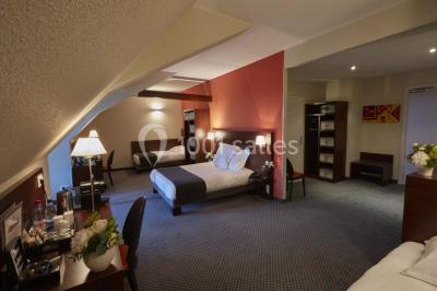 Location salle Saint-Hippolyte (Haut-Rhin) - Hôtel Val Vignes #24