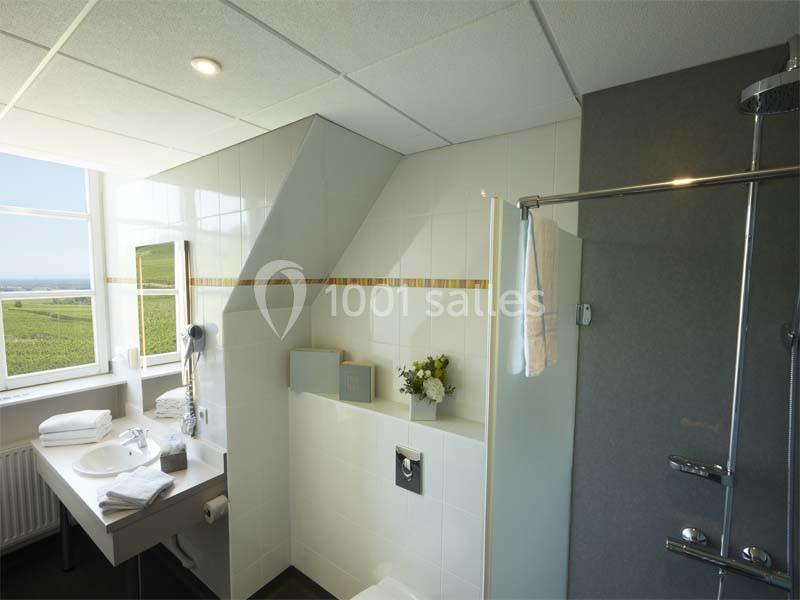 Location salle Saint-Hippolyte (Haut-Rhin) - Hôtel Val Vignes #17