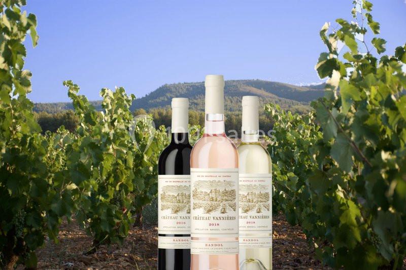 Location salle La Cadière-d'Azur (Var) - Château Vannières #14