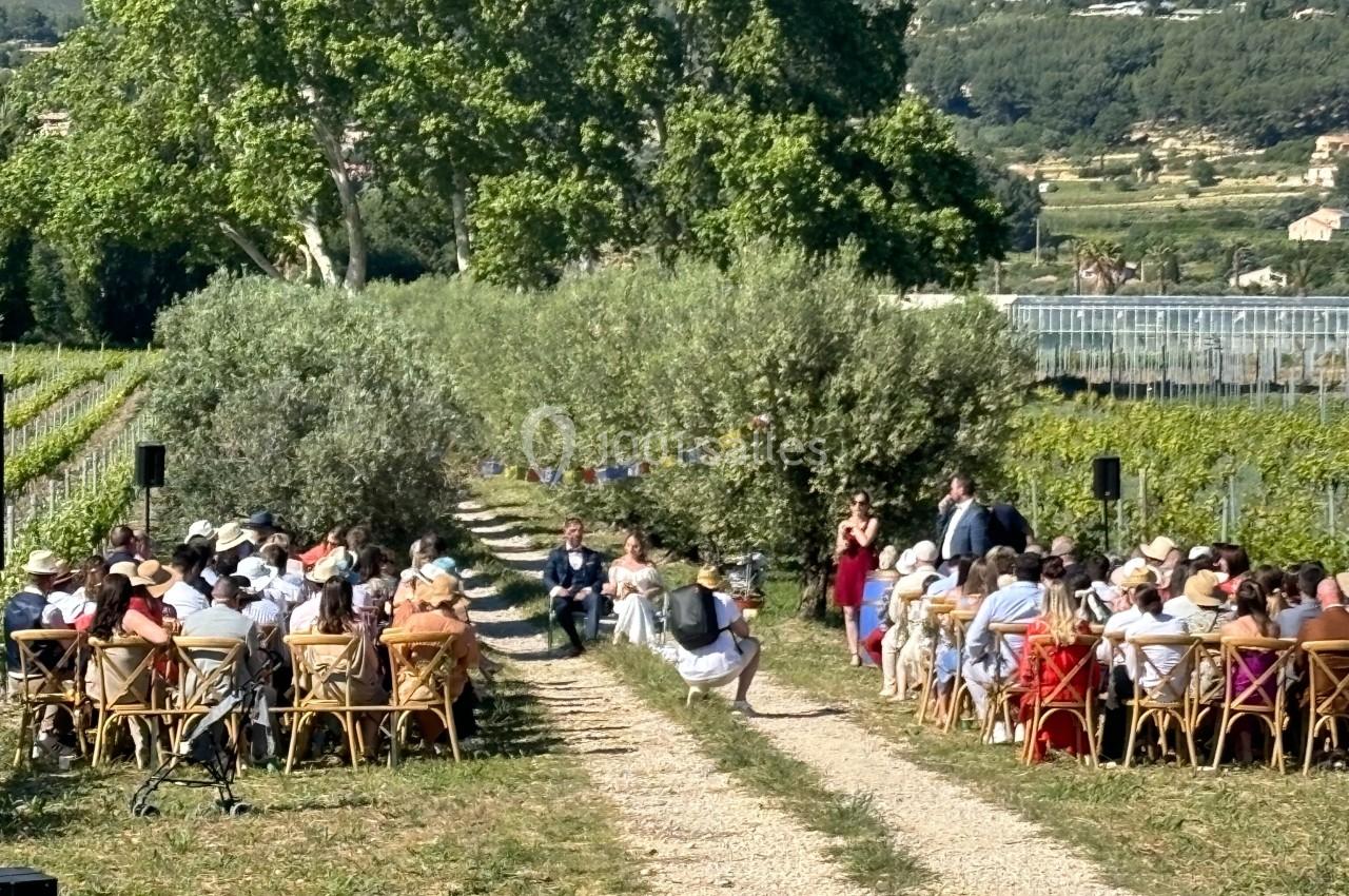 Cérémonie dans les vignes