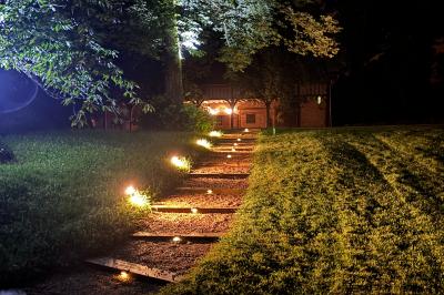 Les grues cendrées d'octobre à février