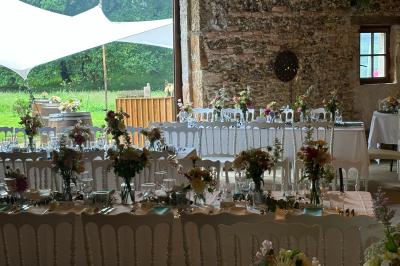 Les grues cendrées d'octobre à février