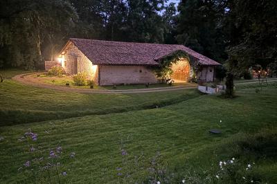Les grues cendrées d'octobre à février