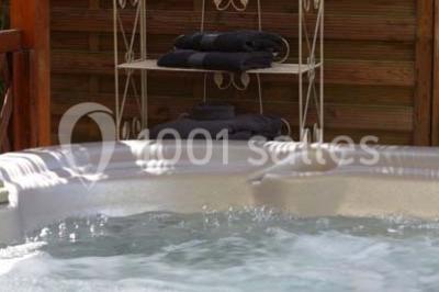 Location salle Pintac (Hautes-Pyrénées) - Villa Corina #16