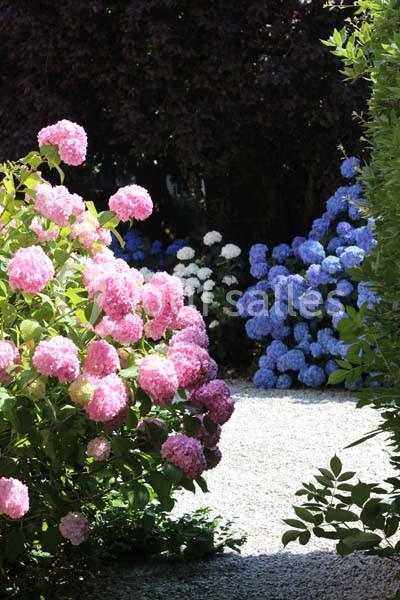 Location salle Pintac (Hautes-Pyrénées) - Villa Corina #9