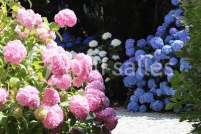 Miniature Location salle Pintac (Hautes-Pyrénées) - Villa Corina #8 Location salle Pintac (Hautes-Pyrénées) - Villa Corina #14