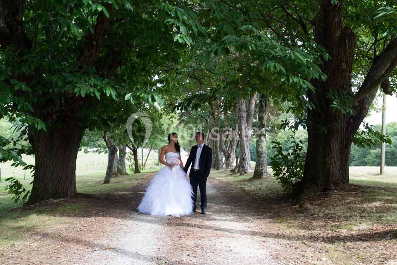 Un couple en tenue de mariage marche sur un chemin ombragé bordé d'arbres dans un cadre naturel.