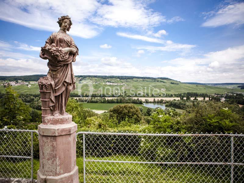 Location salle Boursault (Marne) - Château De Boursault #5