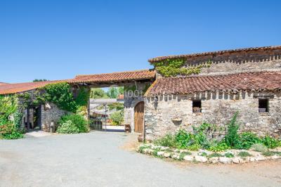 Chemin en gravier menant à des chalets en bois entourés de pelouse et d'arbres sous un ciel dégagé.