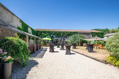 Chemin en gravier menant à des chalets en bois entourés de pelouse et d'arbres sous un ciel dégagé.